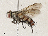  ( - CBG-A04589-D11)  @11 [ ] CreativeCommons - Attribution (2023) CBG Photography Group Centre for Biodiversity Genomics