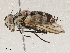  ( - CBG-A04590-F09)  @11 [ ] CreativeCommons - Attribution (2023) CBG Photography Group Centre for Biodiversity Genomics