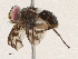  ( - CBG-A04591-A06)  @11 [ ] CreativeCommons - Attribution (2023) CBG Photography Group Centre for Biodiversity Genomics
