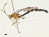  ( - CBG-A04591-H03)  @11 [ ] CreativeCommons - Attribution (2023) CBG Photography Group Centre for Biodiversity Genomics