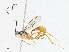  ( - CBG-A04592-D01)  @11 [ ] CreativeCommons - Attribution (2023) CBG Photography Group Centre for Biodiversity Genomics