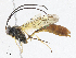  ( - CBG-A04592-D03)  @11 [ ] CreativeCommons - Attribution (2023) CBG Photography Group Centre for Biodiversity Genomics