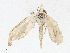  ( - CBG-A04593-F12)  @11 [ ] CreativeCommons - Attribution (2023) CBG Photography Group Centre for Biodiversity Genomics
