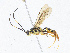  ( - CBG-A07048-C07)  @11 [ ] CreativeCommons - Attribution Share - Alike (2023) CBG Photography Group Centre for Biodiversity Genomics