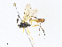  ( - CBG-A07050-A11)  @11 [ ] CreativeCommons - Attribution Share - Alike (2023) CBG Photography Group Centre for Biodiversity Genomics