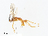  ( - CBG-A07050-B12)  @11 [ ] CreativeCommons - Attribution Share - Alike (2023) CBG Photography Group Centre for Biodiversity Genomics