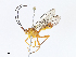  ( - CBG-A07051-D07)  @11 [ ] CreativeCommons - Attribution Share - Alike (2023) CBG Photography Group Centre for Biodiversity Genomics