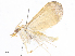  ( - CBG-A07051-H06)  @11 [ ] CreativeCommons - Attribution Share - Alike (2023) CBG Photography Group Centre for Biodiversity Genomics