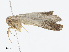  ( - CBG-A07053-D01)  @11 [ ] CreativeCommons - Attribution Share - Alike (2023) CBG Photography Group Centre for Biodiversity Genomics