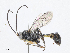  ( - CBG-A07053-F08)  @11 [ ] CreativeCommons - Attribution Share - Alike (2023) CBG Photography Group Centre for Biodiversity Genomics