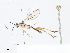  ( - CBG-A07053-F09)  @11 [ ] CreativeCommons - Attribution Share - Alike (2023) CBG Photography Group Centre for Biodiversity Genomics