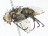  ( - CBG-A08758-D10)  @11 [ ] CreativeCommons - Attribution Share-Alike (2023) CBG Photography Group Centre for Biodiversity Genomics