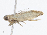  ( - CBG-A08759-D01)  @11 [ ] CreativeCommons - Attribution Share - Alike (2023) CBG Photography Group Centre for Biodiversity Genomics