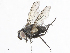  ( - CBG-A10797-A06)  @11 [ ] CreativeCommons - Attribution Share - Alike (2023) CBG Photography Group Centre for Biodiversity Genomics