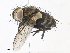  ( - CBG-A10797-A12)  @11 [ ] CreativeCommons - Attribution Share - Alike (2023) CBG Photography Group Centre for Biodiversity Genomics