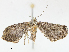  ( - CBG-A08763-G09)  @11 [ ] CreativeCommons - Attribution Share - Alike (2023) CBG Photography Group Centre for Biodiversity Genomics