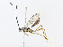  ( - CBG-A08764-C12)  @11 [ ] CreativeCommons - Attribution Share - Alike (2023) CBG Photography Group Centre for Biodiversity Genomics