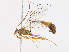  ( - CBG-A08764-D01)  @11 [ ] CreativeCommons - Attribution Share - Alike (2023) CBG Photography Group Centre for Biodiversity Genomics