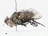  ( - CBG-A08765-B08)  @11 [ ] CreativeCommons - Attribution Share - Alike (2023) CBG Photography Group Centre for Biodiversity Genomics