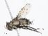  (Houghia graciloides - CBG-A10797-B06)  @11 [ ] CreativeCommons - Attribution Share - Alike (2023) CBG Photography Group Centre for Biodiversity Genomics