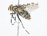 ( - CBG-A10797-B07)  @11 [ ] CreativeCommons - Attribution Share - Alike (2023) CBG Photography Group Centre for Biodiversity Genomics