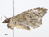  ( - CBG-A10797-F08)  @11 [ ] CreativeCommons - Attribution Share - Alike (2023) CBG Photography Group Centre for Biodiversity Genomics