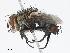  ( - CBG-A10798-D06)  @11 [ ] CreativeCommons - Attribution Share - Alike (2023) CBG Photography Group Centre for Biodiversity Genomics
