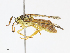  ( - CBG-A10798-E05)  @11 [ ] CreativeCommons - Attribution Share - Alike (2023) CBG Photography Group Centre for Biodiversity Genomics