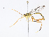 ( - CBG-A10798-F11)  @11 [ ] CreativeCommons - Attribution Share - Alike (2023) CBG Photography Group Centre for Biodiversity Genomics