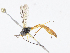  ( - CBG-A10798-G07)  @11 [ ] CreativeCommons - Attribution Share - Alike (2023) CBG Photography Group Centre for Biodiversity Genomics