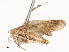  ( - CBG-A53607-C05)  @11 [ ] CreativeCommons - Attribution Share - Alike (2024) CBG Photography Group Centre for Biodiversity Genomics