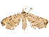  ( - CBG-A53608-B04)  @11 [ ] CreativeCommons - Attribution Share - Alike (2024) CBG Photography Group Centre for Biodiversity Genomics