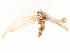  ( - CBG-A53609-F06)  @11 [ ] CreativeCommons - Attribution Share - Alike (2024) CBG Photography Group Centre for Biodiversity Genomics