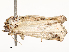  ( - CBG-A53611-C08)  @11 [ ] CreativeCommons - Attribution Share - Alike (2024) CBG Photography Group Centre for Biodiversity Genomics