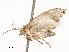  ( - CBG-A53611-F02)  @11 [ ] CreativeCommons - Attribution Share - Alike (2024) CBG Photography Group Centre for Biodiversity Genomics