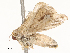  ( - CBG-A53611-F10)  @11 [ ] CreativeCommons - Attribution Share - Alike (2024) CBG Photography Group Centre for Biodiversity Genomics