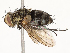  ( - CBG-A53644-C05)  @11 [ ] CreativeCommons - Attribution Share - Alike (2024) CBG Photography Group Centre for Biodiversity Genomics