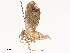  ( - CBG-A53676-B10)  @11 [ ] CreativeCommons - Attribution Share - Alike (2024) CBG Photography Group Centre for Biodiversity Genomics