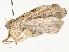  ( - CBG-A54353-E04)  @11 [ ] CreativeCommons - Attribution Share - Alike (2024) CBG Photography Group Centre for Biodiversity Genomics
