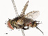  ( - CBG-A54370-E01)  @11 [ ] CreativeCommons - Attribution Share - Alike (2024) CBG Photography Group Centre for Biodiversity Genomics