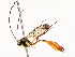  ( - CBG-A54371-C03)  @11 [ ] CreativeCommons - Attribution Share - Alike (2024) CBG Photography Group Centre for Biodiversity Genomics