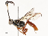  ( - CBG-A54371-E01)  @11 [ ] CreativeCommons - Attribution Share - Alike (2024) CBG Photography Group Centre for Biodiversity Genomics