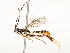  ( - CBG-A54371-F11)  @11 [ ] CreativeCommons - Attribution Share - Alike (2024) CBG Photography Group Centre for Biodiversity Genomics