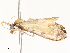  ( - CBG-A54371-H06)  @11 [ ] CreativeCommons - Attribution Share - Alike (2024) CBG Photography Group Centre for Biodiversity Genomics
