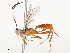  ( - CBG-A54378-A12)  @11 [ ] CreativeCommons - Attribution Share - Alike (2024) CBG Photography Group Centre for Biodiversity Genomics
