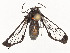  ( - CBG-A54378-D01)  @11 [ ] CreativeCommons - Attribution Share - Alike (2024) CBG Photography Group Centre for Biodiversity Genomics
