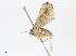  ( - CBG-A10804-A08)  @11 [ ] CreativeCommons - Attribution Share - Alike (2023) CBG Photography Group Centre for Biodiversity Genomics