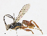  ( - CBG-A10804-E07)  @11 [ ] CreativeCommons - Attribution Share - Alike (2023) CBG Photography Group Centre for Biodiversity Genomics