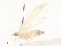  ( - CBG-A54375-C06)  @11 [ ] CreativeCommons - Attribution Share - Alike (2024) CBG Photography Group Centre for Biodiversity Genomics