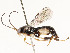  ( - CBG-A54375-D12)  @11 [ ] CreativeCommons - Attribution Share - Alike (2024) CBG Photography Group Centre for Biodiversity Genomics